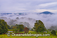 Early morning mountain mist in a valley, adjacent to farmland. Photo was taken near Dorrigo on the Northern Tablelands, in northern New South Wales, Australia.