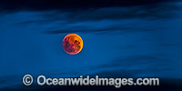 Blood Moon, a lunar eclipse occuring when the Moon passes directly behind the Earth into its umbra, when the Sun, Earth, and Moon are aligned exactly. Photo was taken in Coffs Harbour, New South Wales, Australia.