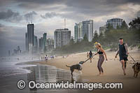 Surfers Paradise beach and city. Gold Coast, Queensland, Australia.