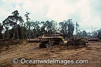 Rainforest Logging. Malaysian logging company clear-fell logging ancient tropical rainforest in New Britain Island, Papua New Guinea.