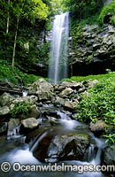 Crystal Shower Falls. Dorrigo World Heritage National Park, New South Wales, Australia