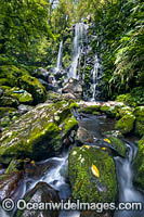 Chalan Falls. Photo taken at Lamington World Heritage National Park, Queensland, Australia.