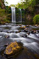Dangar Falls, situated on the Dorrigo Plateau. Dorrigo, New South Wales, Australia.