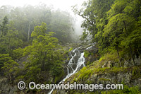 Sherrard Falls, situated in the Dorrigo World Heritage National Park, New South Wates, Australia.