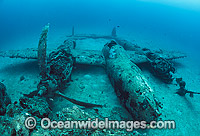 Lockheed P-38 Lightning World War II American fighter aircraft, resting intact on the sea floor in Milne Bay, Papua New Guinea. Within the Coral Triangle.
