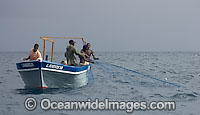 Local fisherman haul in a gill net. Photo taken in Madagascar, near Africa