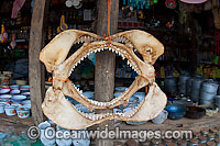Shark jaw products for sale. Photo taken in Madagascar, near Africa
