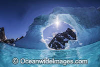 Iceberg. Antarctica.