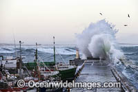 Huge wave breaking during a storm at Kalk Bay Habour. Cape Town, South Africa.