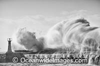 Huge wave breaking during a storm at Kalk Bay Habour. Cape Town, South Africa.