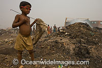 People scavenging together in a Guwathi dumpsite. India