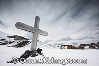 Grave at a Whaling Station. Deception Island, Antarctica.