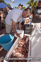 Volunteers from marine conservation organization REEF count, measure, clean and inspect Red Lionfish (Pterois volitans), an invasive species, caught by divers during a lionfish derby on August 17, 2013 in Palm Beach Shores, Florida, United States.