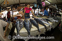 Tuna for sale in one of Bali's fish markets. Bali, Indonesia