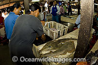 Fishermen prepare to clean and sell their catch in the fish market in Denpasar, Bali, Indonesia.