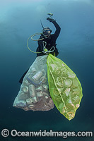 Scuba Diver with collected cans and garbage dumped on a coral reef offshore Palm Beach, Florida, USA.