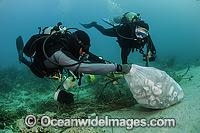 Scuba Divers picking up cans and garbage dumped on a coral reef offshore Palm Beach, Florida, USA.