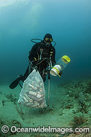 Scuba Diver with collected cans and garbage dumped on a coral reef offshore Palm Beach, Florida, USA. He is also removing an invasive introduced Volitans Lionfish (Pterois volitans), from the reef.