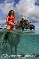 Tourist riding horses on the beach in the shallows of Rarotonga, The Cook Islands.