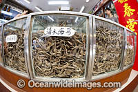 Glasses cases full of dried seahorses for sale at a medicine shop in Guangzhou, China. Seahorses are dried for use as aphrodisiacs in Chinese medicine.
