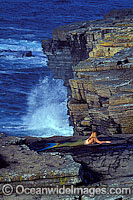 This ocean scene with a Mermaid (MR) resting on a rock platform is a composite image, comprising of 2 or more images digitally merged together.