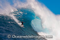A tow-in surfer drops to the curl of Hawaii's big surf at Peahi (Jaws) off Maui, Hawaii, Pacific Ocean.