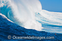 Just the head of this tow-in surfer is visibile as he drops into Hawaii's big surf at Peahi (Jaws) off Maui, Hawaii.