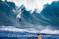 A tow-in surfer drops down the face of Hawaii's big surf at Peahi (Jaws) off Maui, Hawaii, Pacific Ocean.