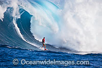 A tow-in surfer drops to the curl of Hawaii's big surf at Peahi (Jaws) off Maui, Hawaii, Pacific Ocean.