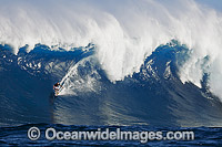 A tow-in Surfer drops down the face of Hawaii's big surf at Peahi (Jaws) off Maui. Pacific Ocean.
