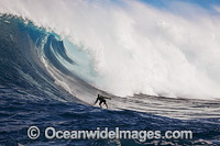 A tow-in Surfer drops down the face of Hawaii's big surf at Peahi (Jaws) off Maui. Pacific Ocean.