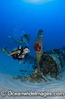 Divers exploring a WW II Corsair fighter plane off South-East Oahu, Hawaii, Pacific Ocean, USA.