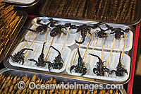Deep fried Insects on a stick, scorpions, and other insects for sale at a food stand in Guangzhou, China.