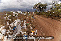 Scrubs and trees filled with plastic bags, down wind from a landfill site on the island of Maui, Hawaii. A state wide ban on plastic bags went into effect in January 2011. Hawaii, USA.