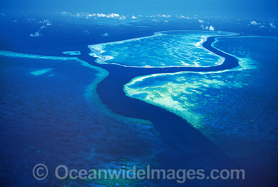 Aerial Hook Hardy Reef photo