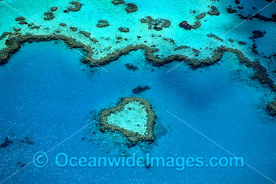 love heart reef