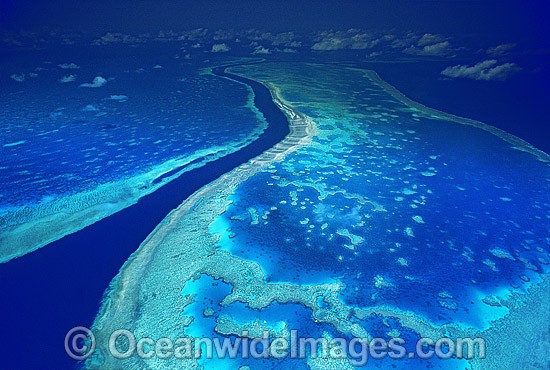 Aerial Hook Hardy Reef photo
