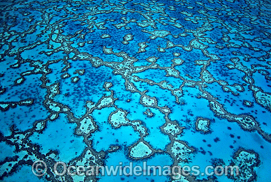 Aerial Wistari Reef photo