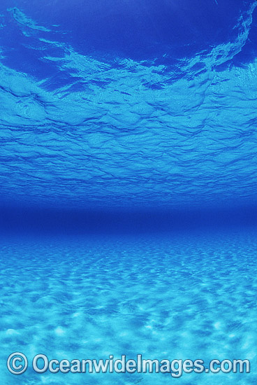 Underwater seascape sandy sea floor photo