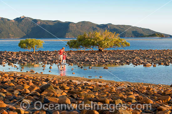 Beach combing during low tide at Hayman Island, Whitsunday Islands, Queensland, Australia Photo - Gary Bell Beach combing during low tide at Hayman Island, Whitsunday Islands, Queensland, Australia Photo - Gary Bell