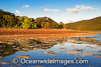 Hayman Island Whitsunday Islands Photo - Gary Bell