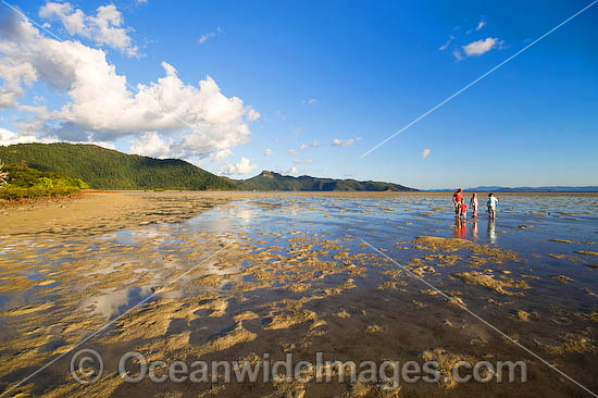 Beach combing Hayman Island photo