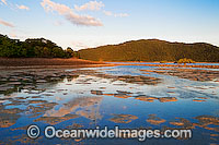 Hayman Island Whitsunday Islands Photo - Gary Bell