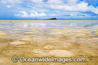 Hayman Island low tide Photo - Gary Bell