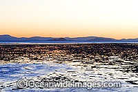 Hayman Island low tide Photo - Gary Bell