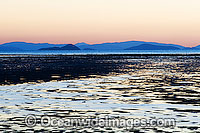 Hayman Island low tide Photo - Gary Bell