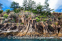 Hayman Island Whitsunday Islands Photo - Gary Bell