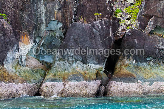 Spectacular rocky coastline during low tide at Hook Island, Whitsunday Islands, Queensland, Australia Photo - Gary Bell Spectacular rocky coastline during low tide at Hook Island, Whitsunday Islands, Queensland, Australia Photo - Gary Bell