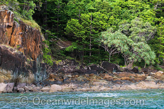 Spectacular rocky coastline during low tide at Hook Island, Whitsunday Islands, Queensland, Australia Photo - Gary Bell Spectacular rocky coastline during low tide at Hook Island, Whitsunday Islands, Queensland, Australia Photo - Gary Bell