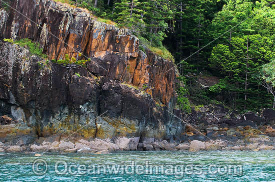 Hook Island photo